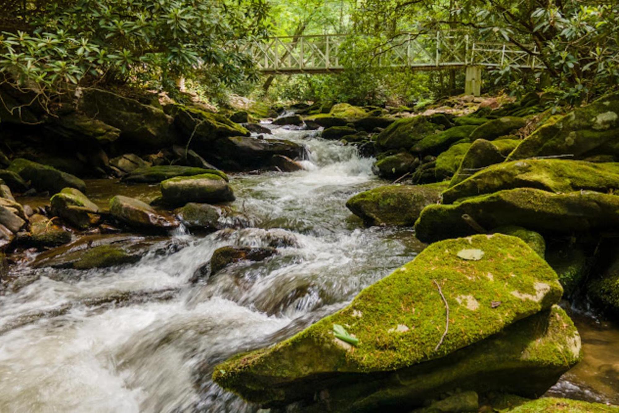 Creel Lodge At Middle Creek Otto ภายนอก รูปภาพ